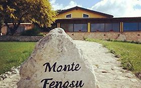 Casa Vacanze Agriturismo Monte Fenosu